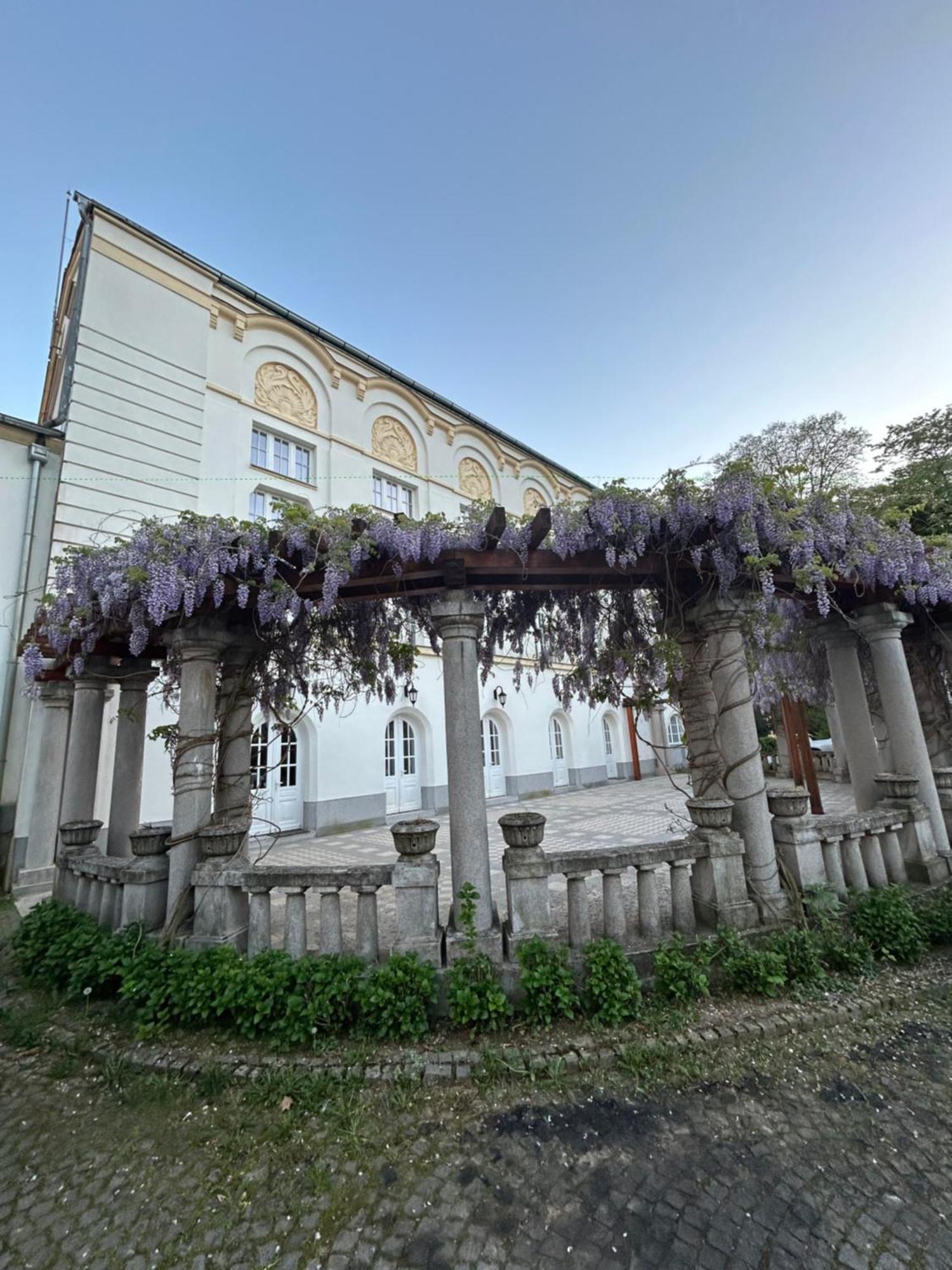 Vila Drina Apartments Banja Koviljaca Exterior photo